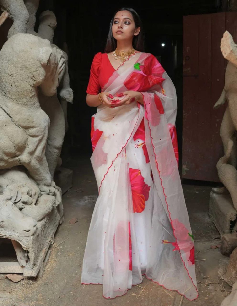 Printed Organza Aari Work Saree