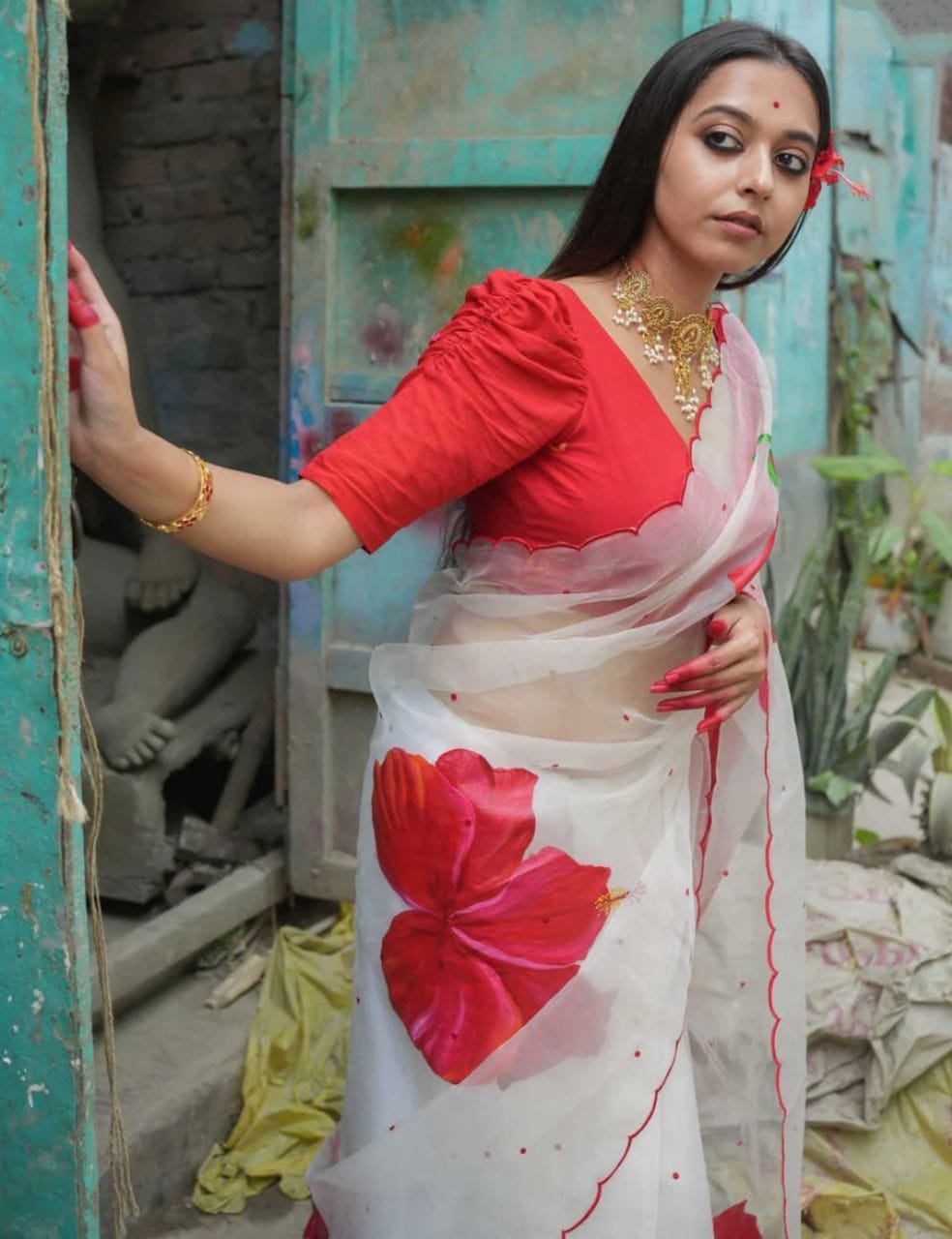Printed Organza Aari Work Saree