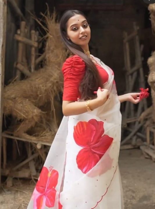 Printed Organza Aari Work Saree